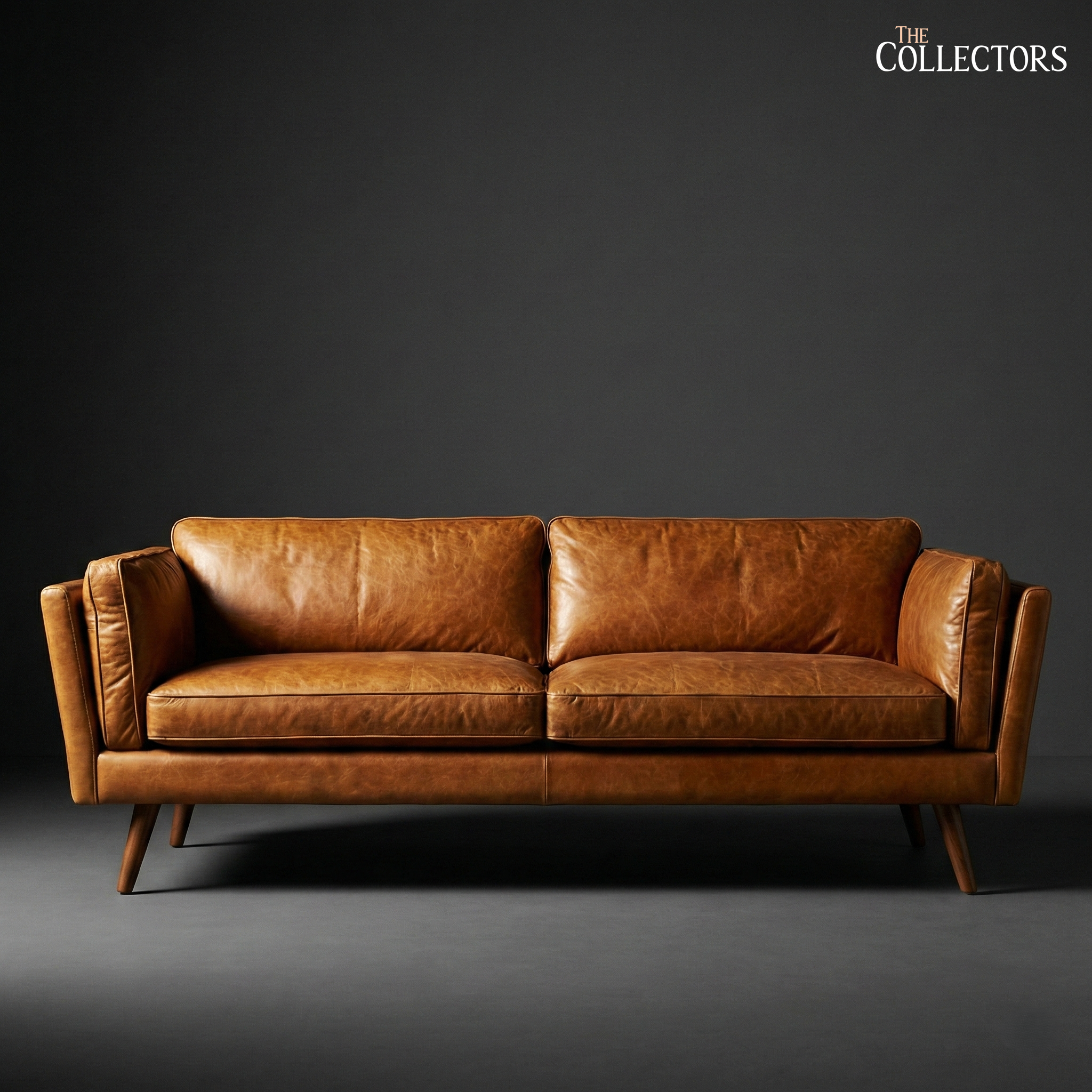 Østerbro Modernist Leather Sofa