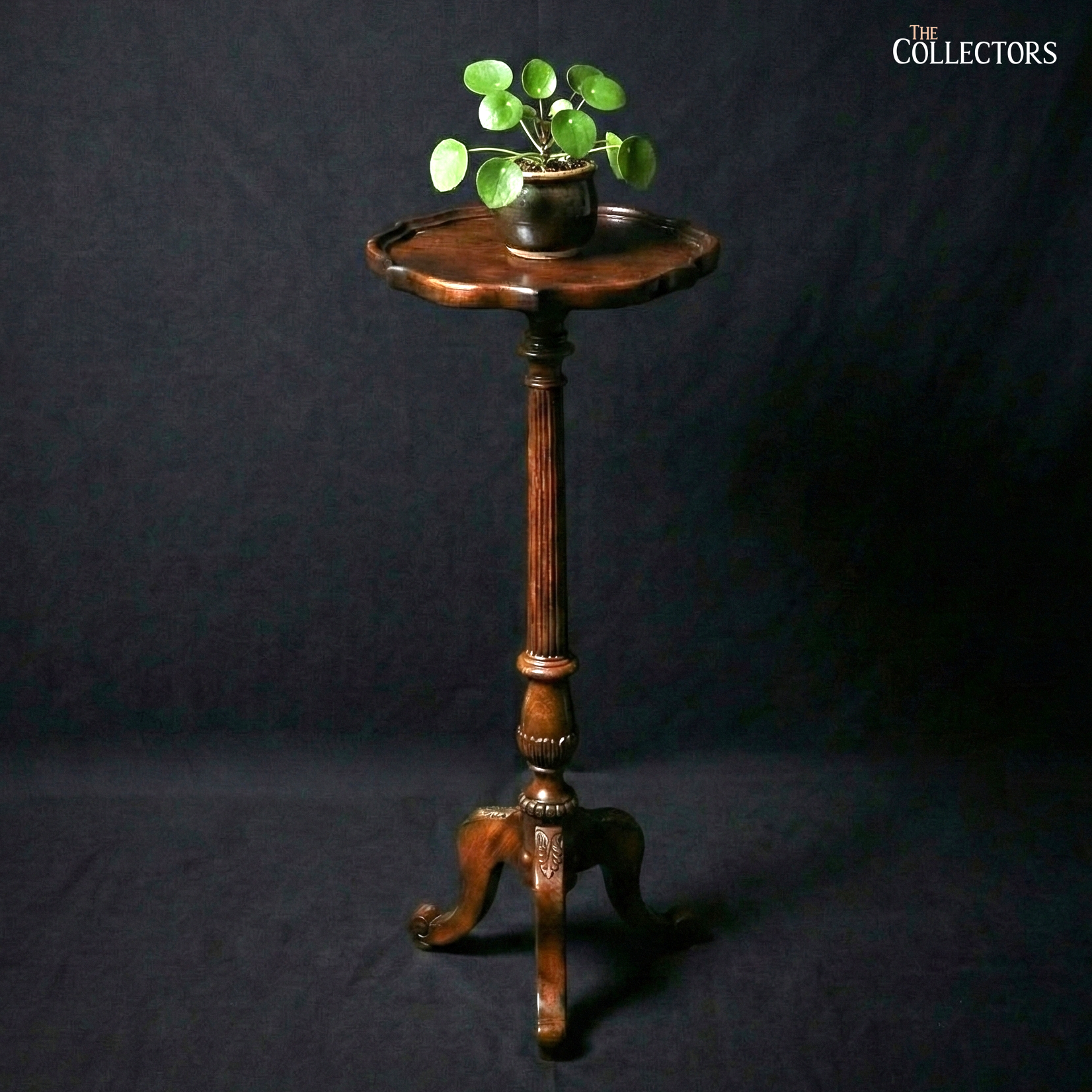 The Chatsworth Pedestal Plant Stand